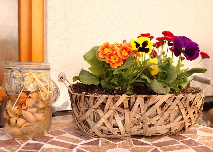 Michels בית אירוח סטרומברג